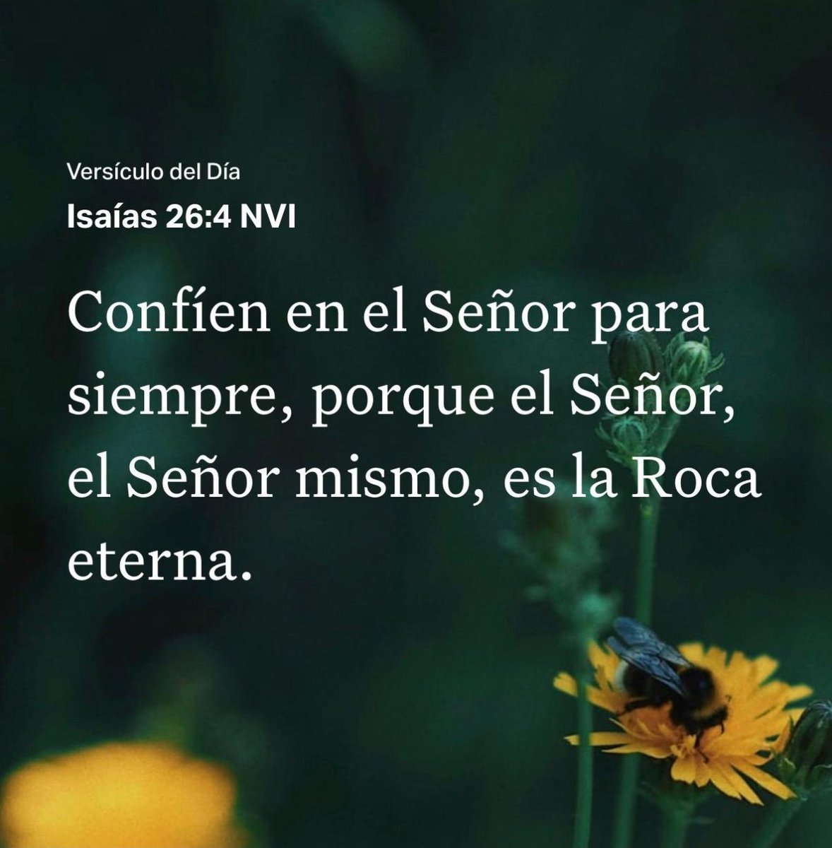 cesarvicentem's tweet photo. 🙏🏽 https://t.co/jnvqDN8LdI