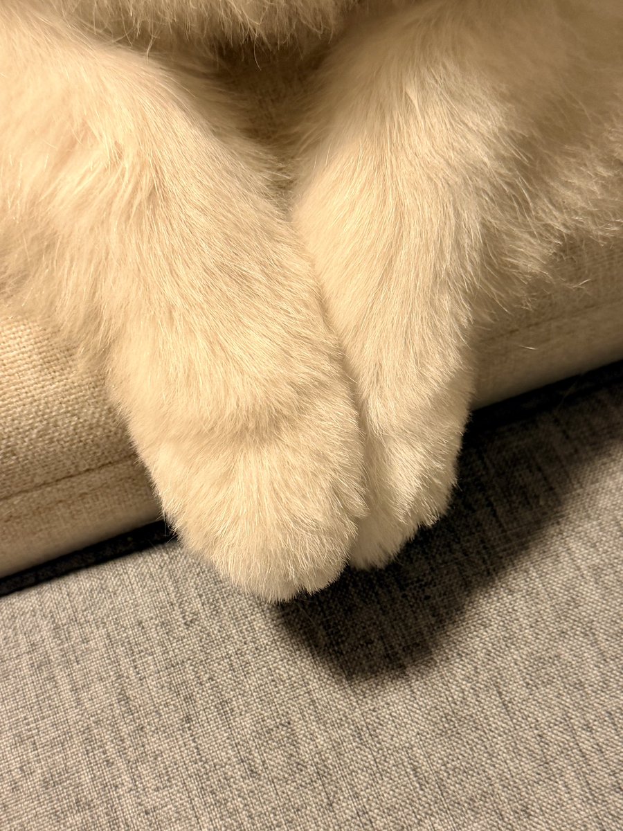 InosukeWorkout's tweet photo. シーズン2
124日目
体重4.5kgと64.8kg
立ちコロ100回 https://t.co/96CIwsFP3s