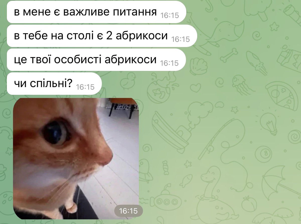 tetiptashkaa's tweet photo. пов: не прийшла в офіс один день https://t.co/YNqcXkC1de