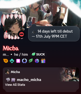 macho_micha's tweet photo. I love discord’s new custom widget feature 👀🦈 https://t.co/3dWdnxRgtS