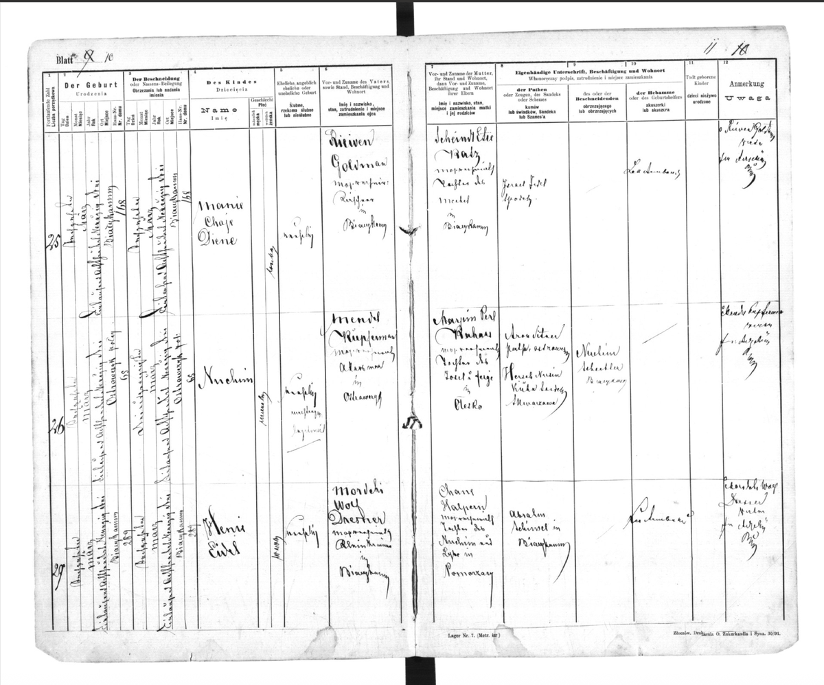 MichaelRosenYes's tweet photo. My Bubbe (grandmother) said her birthplace (1893) sounded like 'Bill come in' but she didn't  know where it was. My brother figured it as Bialy Kamien (Bilyi Kamin) near Lviv (Lvov). Today, we confirmed this, thanks to a screenshot of her birth page sent from a Polish archive https://t.co/31TPwUVrhf