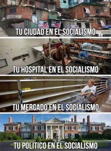 roquintero's tweet photo. @Melissa_Bely Malditos simios, tiene razón Miley ZURDOS DE MIERDA!!! 
TODOS sin excepción rateros HDP 

Presirvienta del narco @Claudiashein narco @PartidoMorenaMx @A_MontielR @INEMexico https://t.co/TNMU7xNPxa