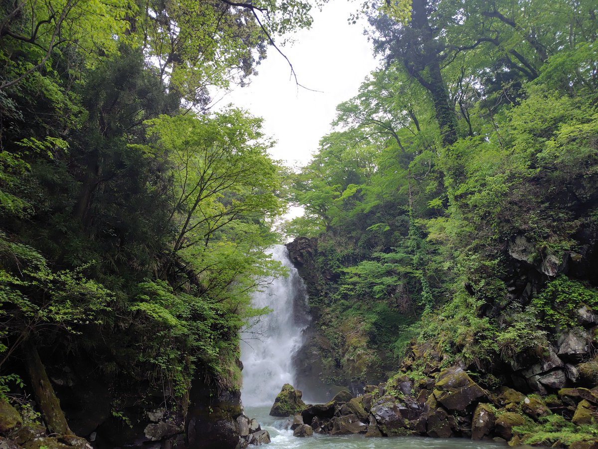 koemugi1's tweet photo. 秋田県　金峰神社⛩️

鳥海山を御神体とする修験の拠点の１つ
856年、慈覚大師円仁が鳥海大権現蔵王権現を奉じたされています。
長い階段を下ると「奈曽の白滝」があります。この滝は神域（鳥海山）と下界の境界線になっているとのこと。

滝ツボの近くまで見に行き、マイナスイオンを浴びてきました😄 https://t.co/pTk4ubKxEC