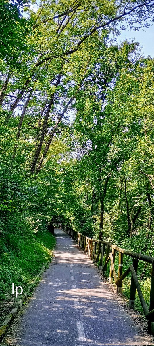 LauraPapa18's tweet photo. Good walk 💚💚💚💚💚 https://t.co/Jo2GX9VBUz