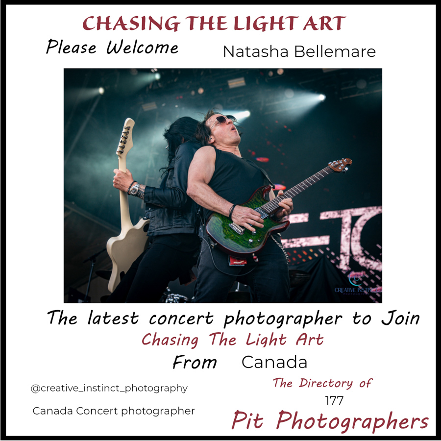 Chasing The light Art tweet media