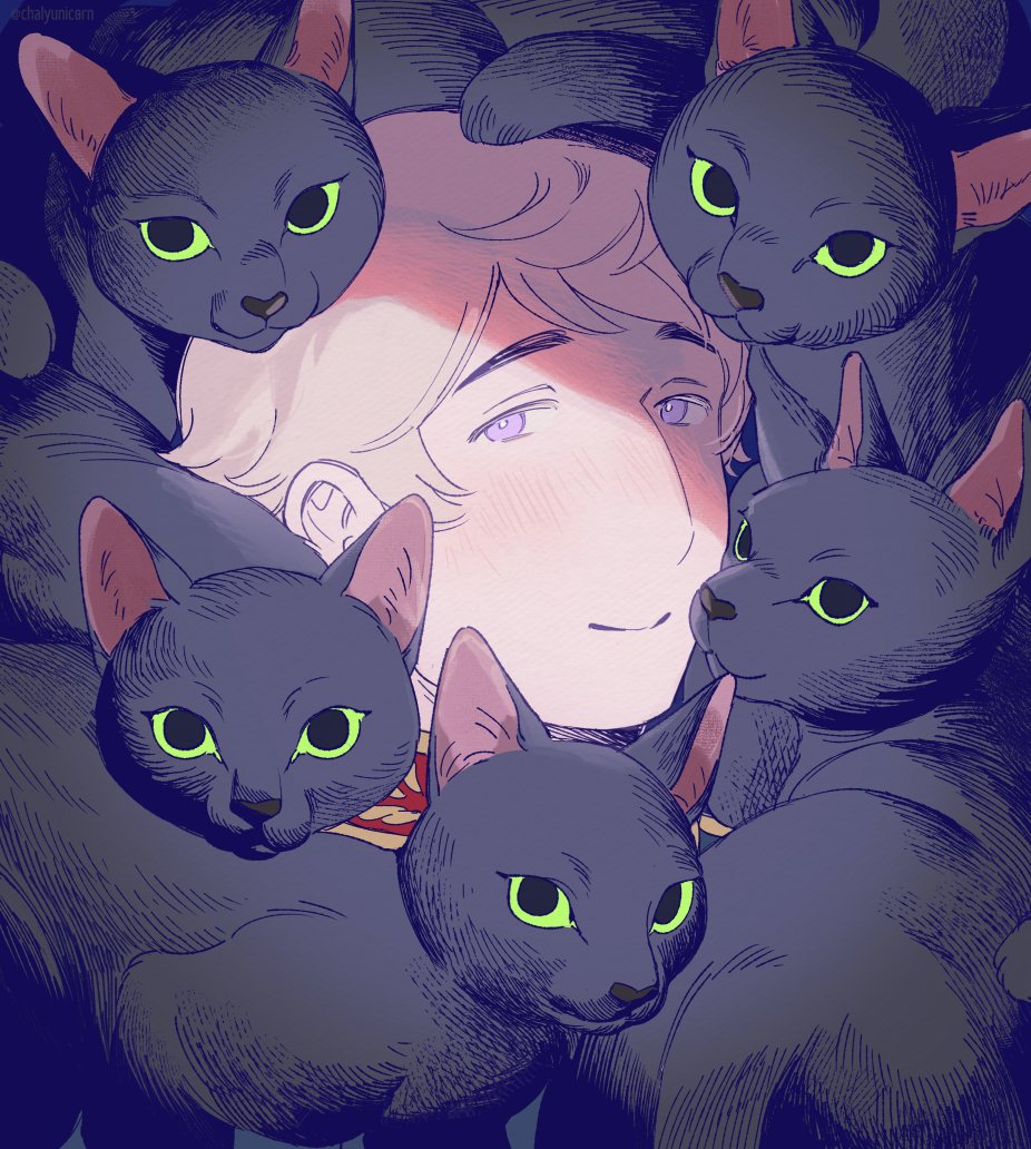 chalyunicorn's tweet photo. 🐱 https://t.co/mK6TVO3wlv
