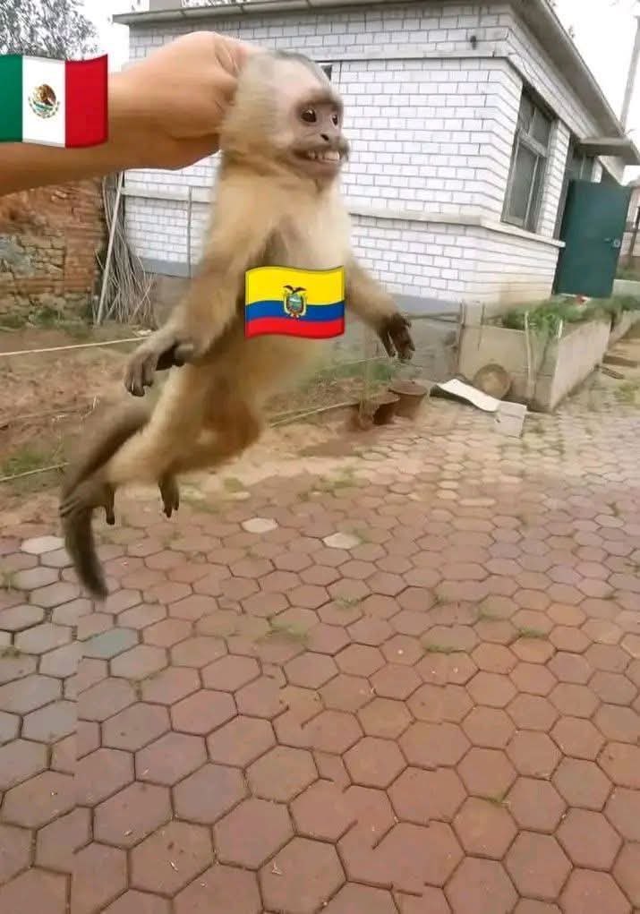 AlanPaez24's tweet photo. @KuyaySapi @FutboolFichajes https://t.co/SlbOlfawP5