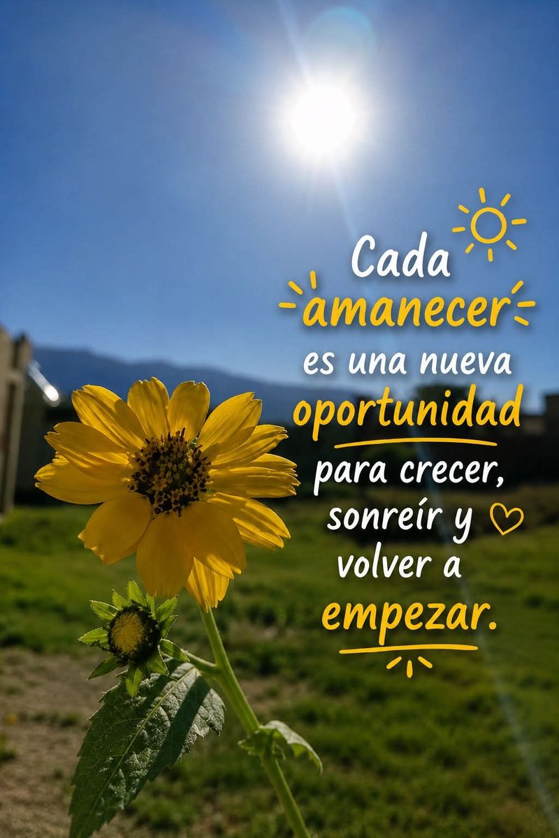 Paco771003's tweet photo. @eltarotista56 Excelente y bendecido día https://t.co/Ppr3sre5NY