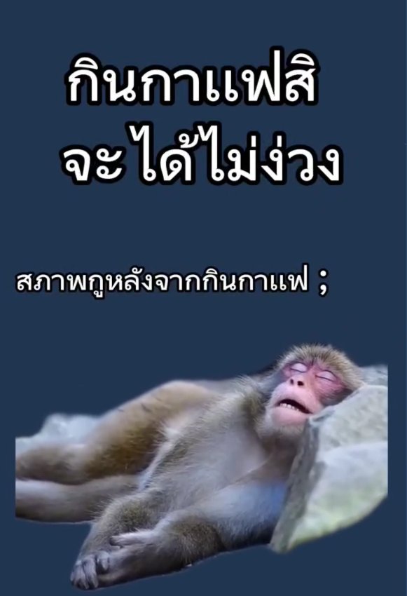 yuyuii6717's tweet photo. จริงที่สุด5555555 https://t.co/9GqeAYus0H