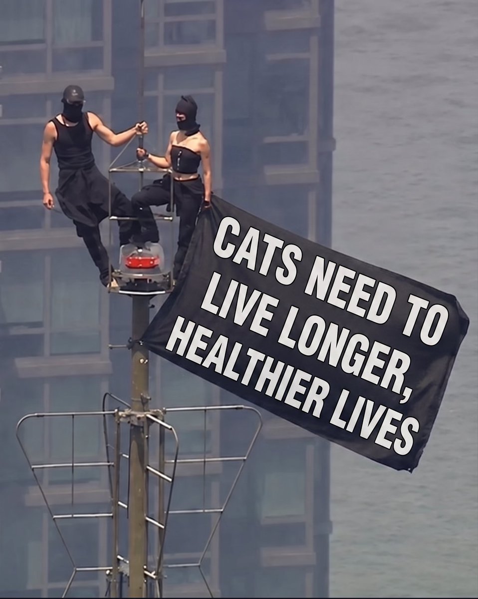 The Cat Health Company tweet media