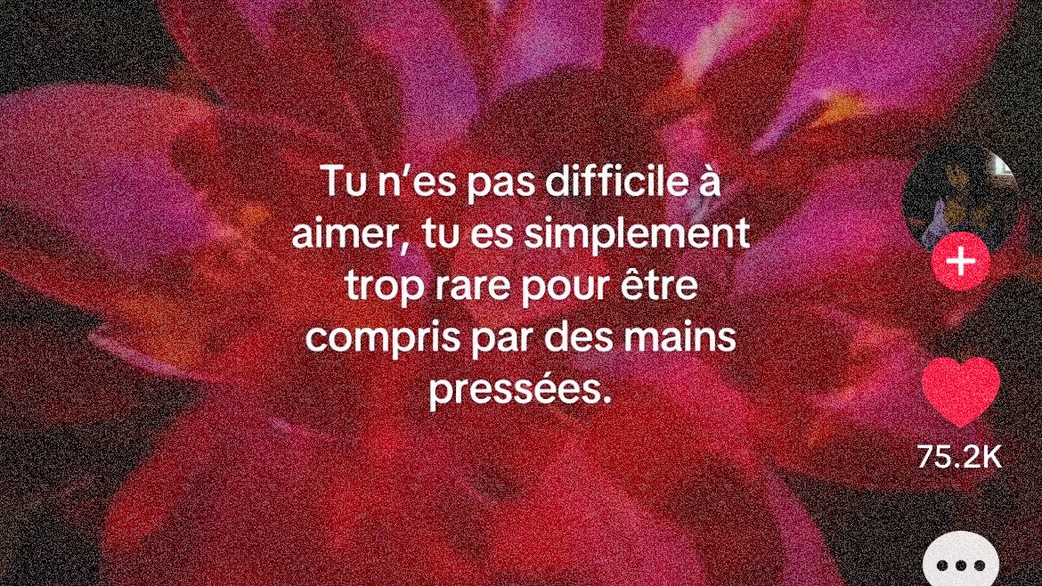 dcbasj's tweet photo. https://t.co/77ImmDqfIr