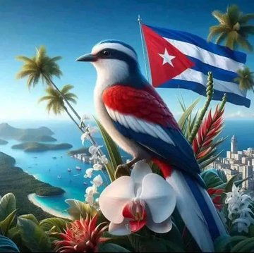 Antony_191023's tweet photo. Libre y soberana y así seguirá
#LaPatriaSeDefiende
#UnidosXCuba https://t.co/fLGAOkSIwd