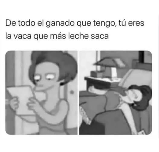 LA PULGATUSA tweet media