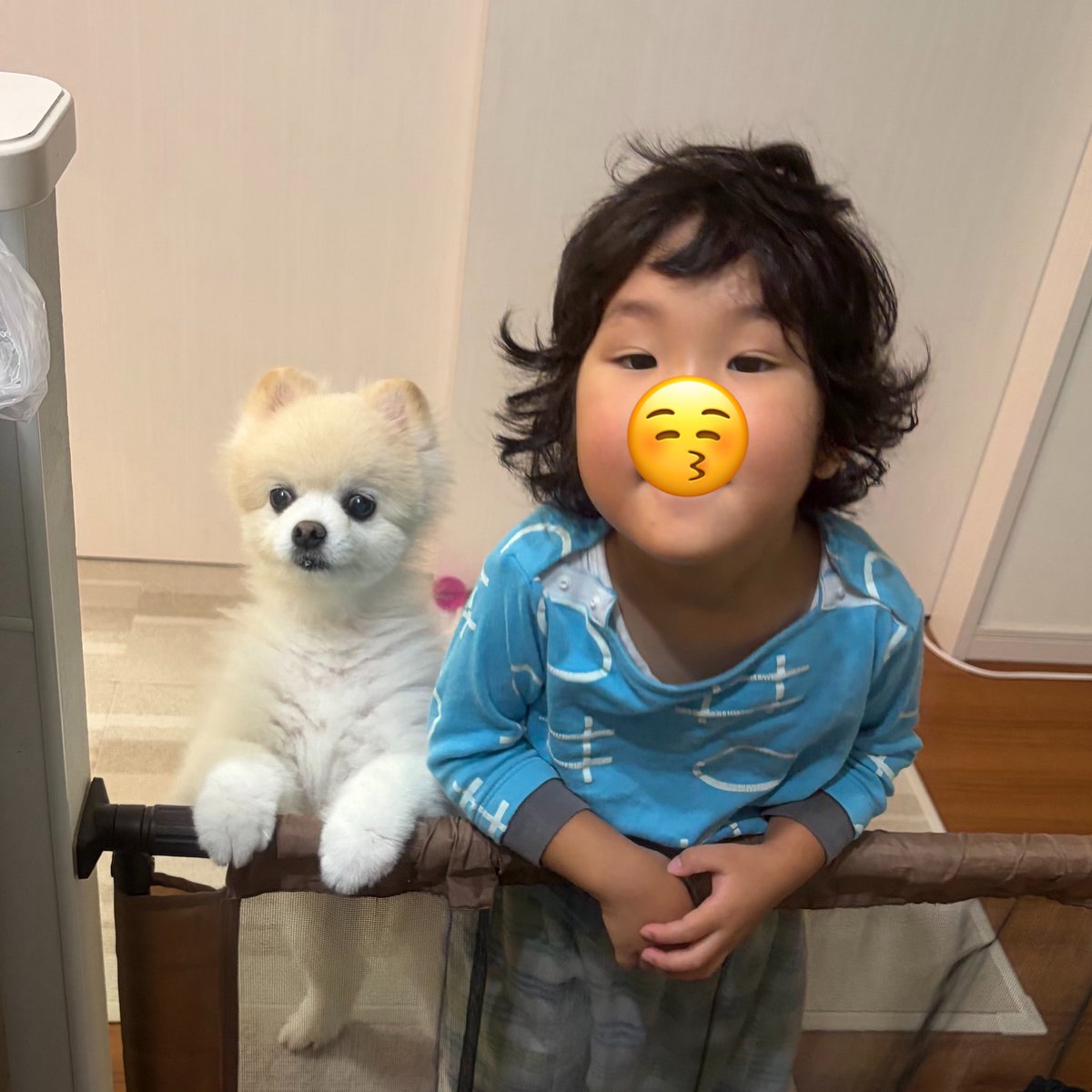 usabarawabi's tweet photo. 今夜のキャベツ待ち https://t.co/EyGJM7jC9F
