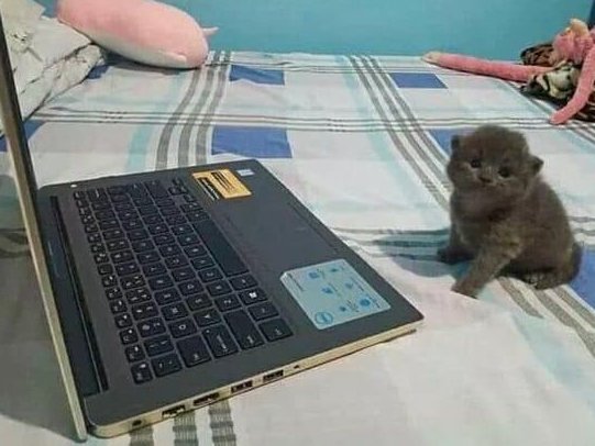 de_sorvete's tweet photo. Quando implicam comigo no trabalho é com esse nenê que tão implicando https://t.co/sVMDJWz863