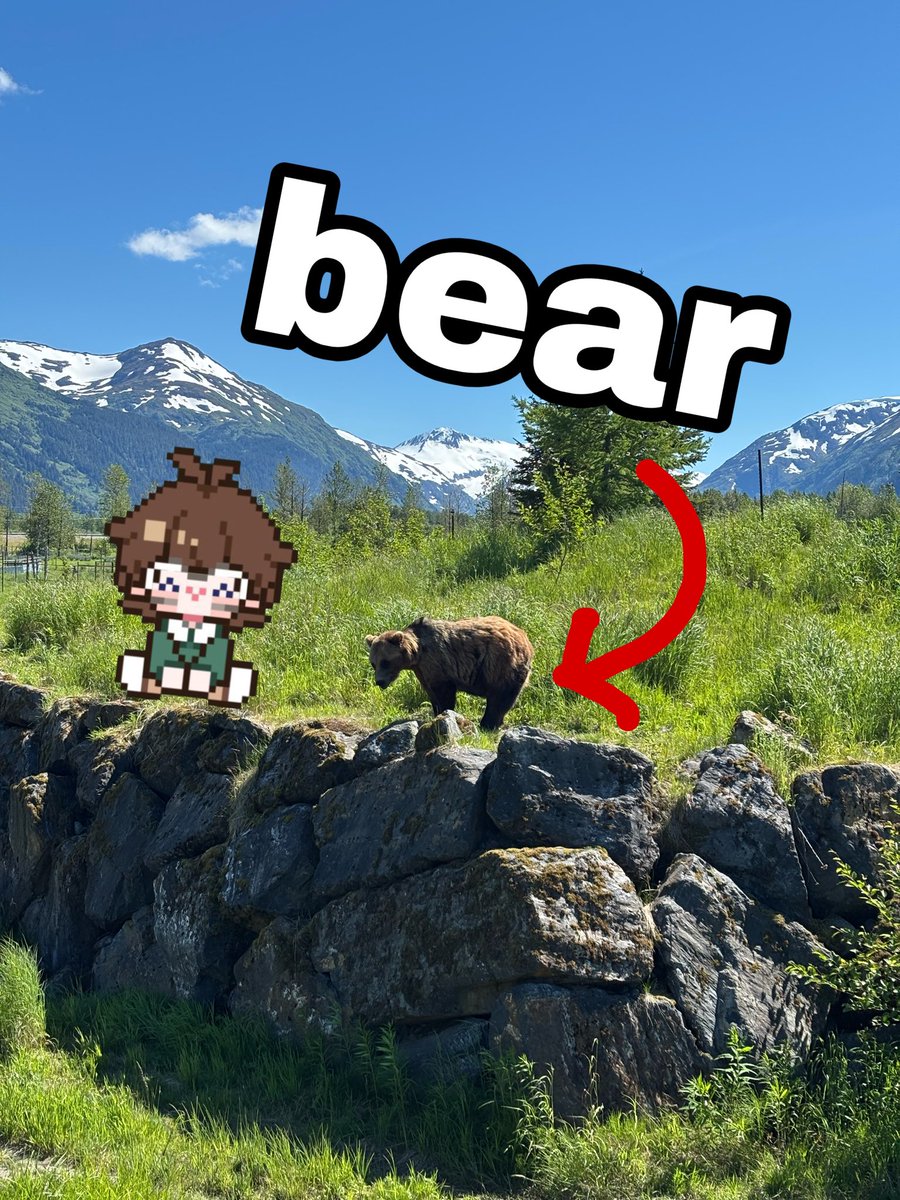 leaftreegrass's tweet photo. flying back today, recap stream planned for tomorrow https://t.co/WDpJH6bHI7