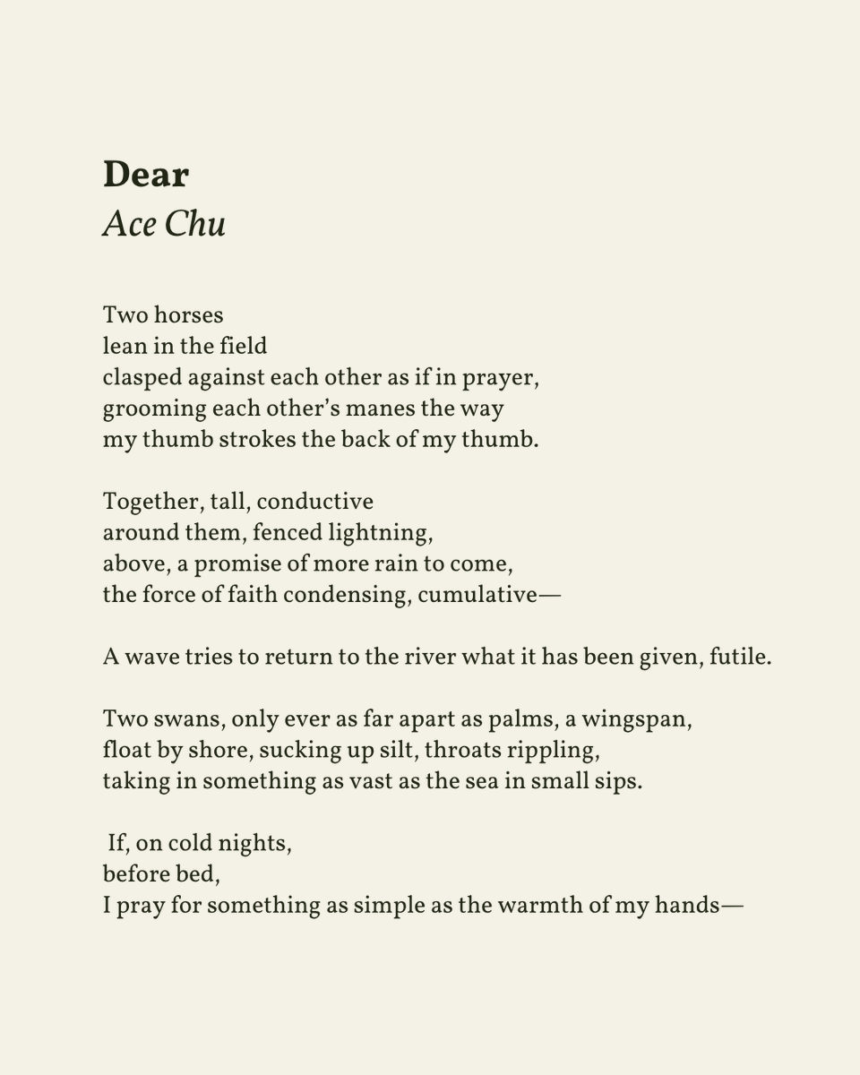 readalittlepoem's tweet photo. “If, on cold nights, / before bed, / I pray for something as simple as the warmth of my hands—”

— Ace Chu

.
.
.

This poem appeared in The Hopper, Spring 2026. Shared here with deep gratitude. https://t.co/8pm0JQhhWF
