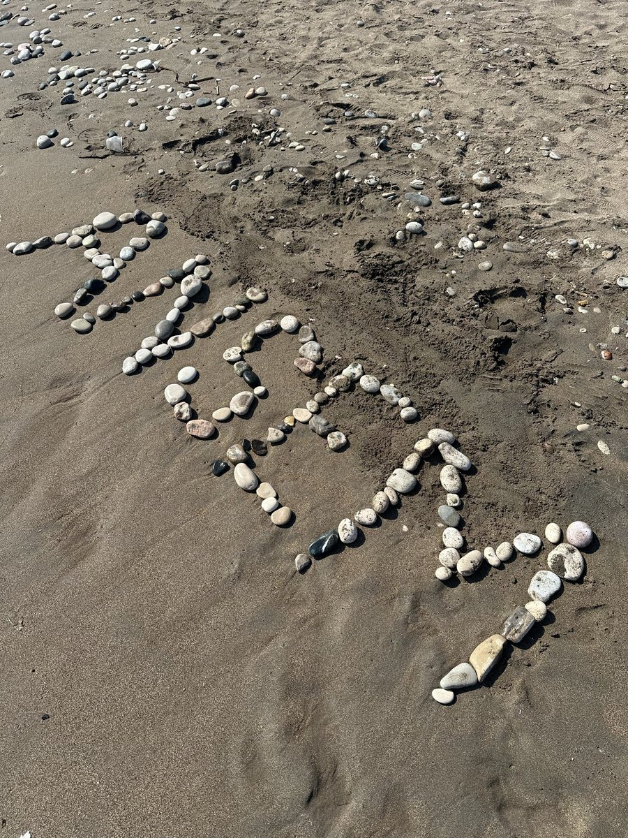 Bitmap_turkey's tweet photo. @blknoiz06 "Thus far, I have only written your name upon the sands. Before long, I shall write it upon the mountains as well."
@blknoiz06  $ansem #ansem ansem https://t.co/CTroz55Zuk
