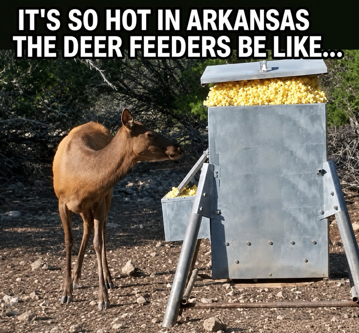 Arkypatriot's tweet photo. How hot is it where you are this good Thursday? https://t.co/TDMKxTAct3