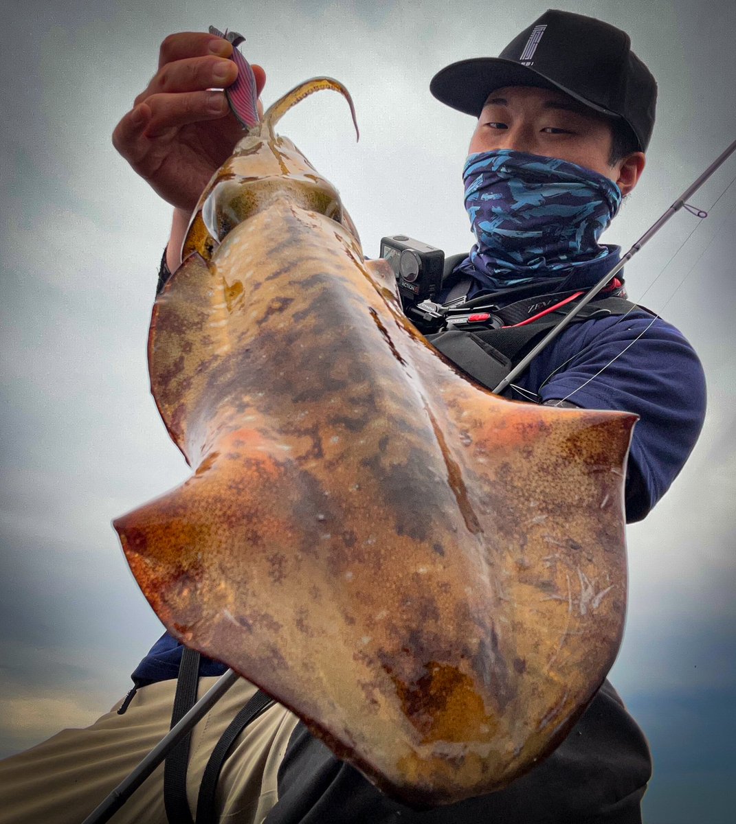 Mattofishing's tweet photo. #2026年上半期ベスト釣果4枚
いい釣り出来てる気がする！🎣
下半期も楽しく安全に！！👏 https://t.co/6FBSReRUrk