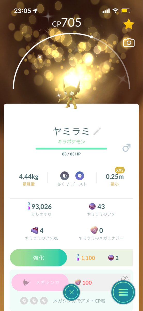 chanchnnn's tweet photo. にわかポケモントレーナーの私が持ってる多分1番レアぽいポケモン

金運上がりそうなヤミラミwwwww

#ポケモン　#ポケモンgo https://t.co/5jt9eSHVm7