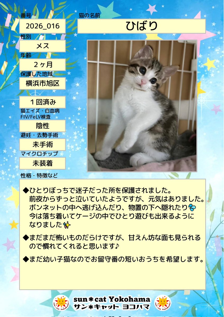 参加メンバーNo.3 ⁡⁡◇まめ ♂ 2ヶ月半⁡⁡ ⁡◇みつ ♀ 2ヶ月半