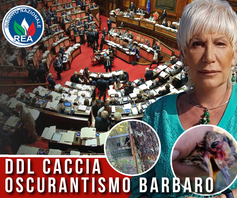 REApartito's tweet photo. 𝐈𝐥 𝐃𝐝𝐥 𝐂𝐚𝐜𝐜𝐢𝐚 𝐚𝐥𝐥𝐚 𝐂𝐚𝐦𝐞𝐫𝐚 𝐞̀ 𝐮𝐧 𝐚𝐭𝐭𝐚𝐜𝐜𝐨 𝐬𝐞𝐧𝐳𝐚 𝐩𝐫𝐞𝐜𝐞𝐝𝐞𝐧𝐭𝐢 𝐜𝐨𝐧𝐭𝐫𝐨 𝐥𝐚 𝐧𝐚𝐭𝐮𝐫𝐚
https://t.co/E7913Kz9QJ
#NoDdlCaccia #TutelaAmbiente #Biodiversità #DirettivaUccelli #RivoluzioneEcologistaAnimalista https://t.co/jExO99x0Mb