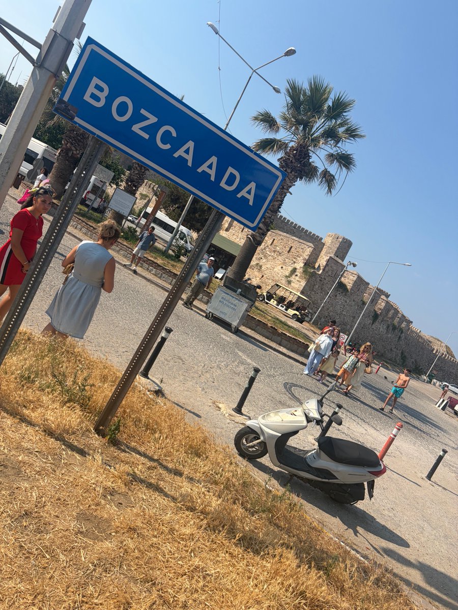 Oooo Canan Hanımlar gelmişler tweet media