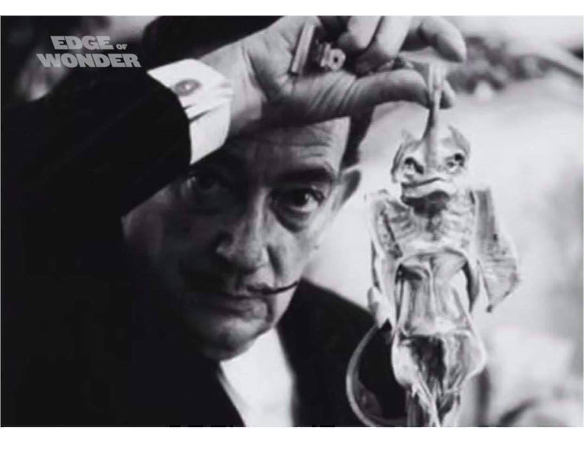 Humanbydesign3's tweet photo. #SalvadorDali&amp;Vril Reptilian. In caseUdon’t know what these creatures Rabout,the celebrities in the pictures below have a black eye due2a procedure of droning these miniature type of reptilian parasite is inserted int2the eye &amp;in the course of 2 weeks,takes control over the host https://t.co/iPnlWie5Wi