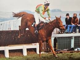 maxcouch's tweet photo. Graham Bradley. How terribly sad. Bregawn, Collier Bay, Kildimo, Morley Street, etc.. All beautifully ridden. As stylish and gifted a rider as we've seen. God rest him. https://t.co/DFws5NGdX0