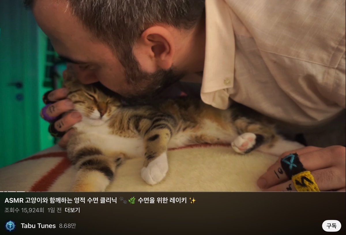 iciiibal's tweet photo. 아니 고양이 나오는 ASMR 이래서 틀었는데
주인분이 에셈알은 안하고 2분에 한번씩 뽀뽀하심
저기요 https://t.co/u1A2UeUCdY