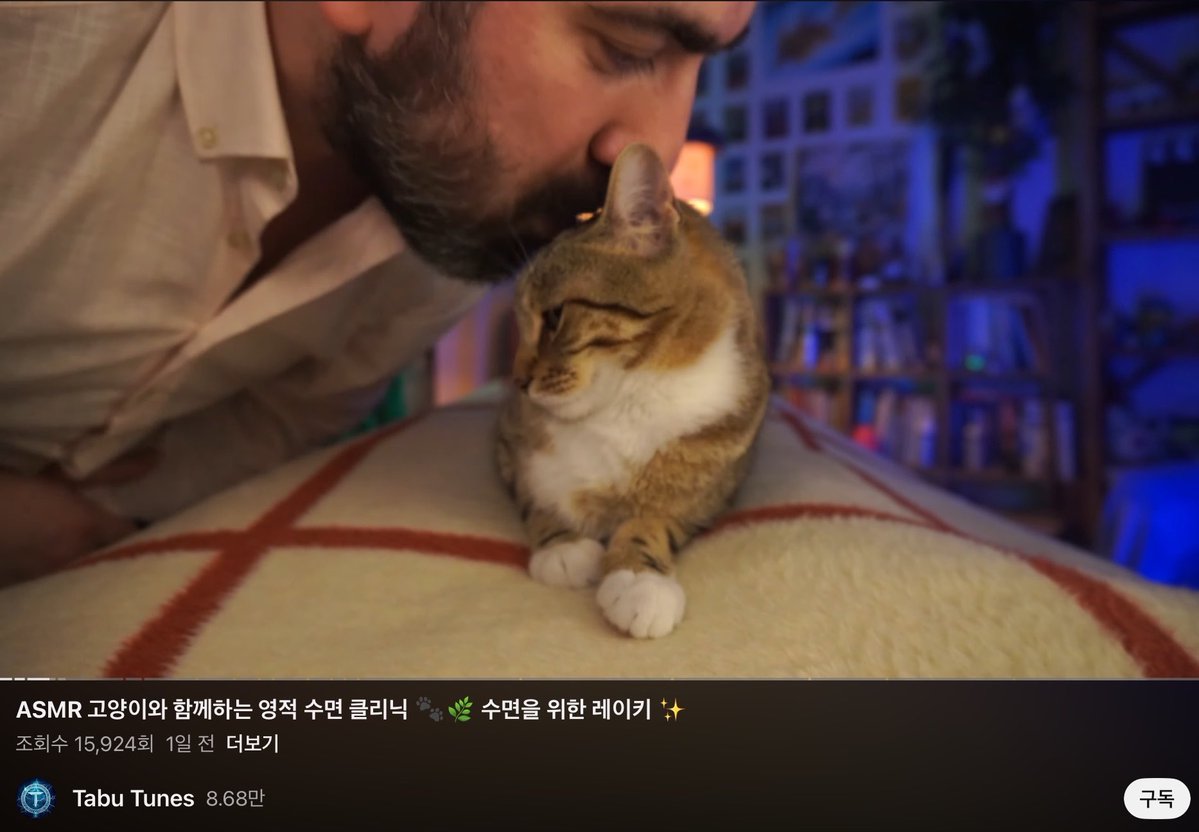 iciiibal's tweet photo. 아니 고양이 나오는 ASMR 이래서 틀었는데
주인분이 에셈알은 안하고 2분에 한번씩 뽀뽀하심
저기요 https://t.co/u1A2UeUCdY