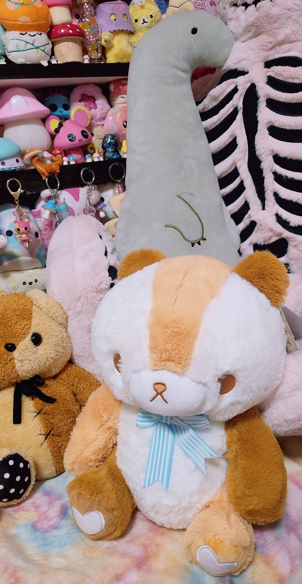 Miichel701's tweet photo. #mofurubear #caramelbear #teddybear #stuffedanimal #kawaii #toys #toy #collection #collectibles #toycore #toywave #collector #toycollector #decor #aesthetic #myroom #plush #plushies #stuffedanimals #stuffed #plushcore #toycollection https://t.co/qDBZPgqx0m
