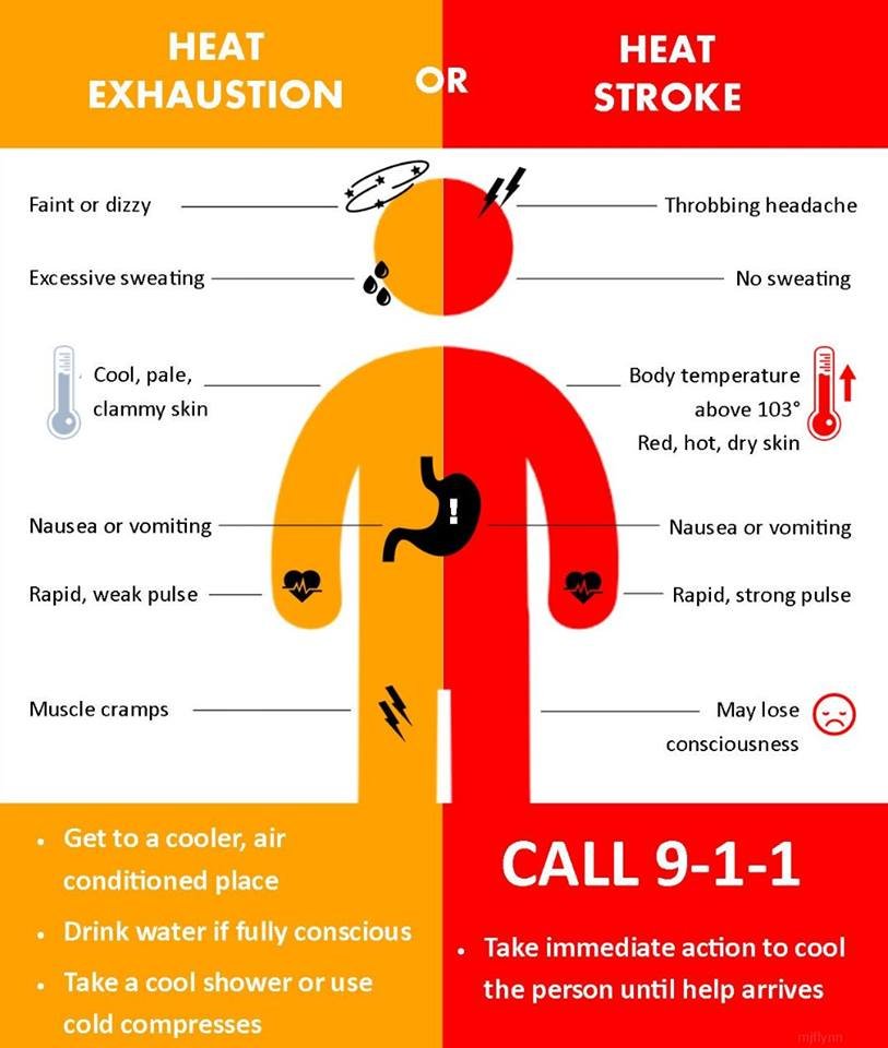millburntwp's tweet photo. EXTREME HEAT – STAY SAFE!

-Stay indoors in air-conditioned spaces as much as possible
-Drink water regularly
-NEVER leave children or pets in a parked car — even for a few minutes

Cooling center info https://t.co/jQtc8hc1uL or call 2-1-1. https://t.co/vm0id9CFsB