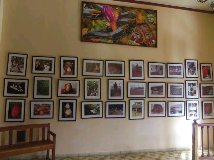Guantanamo14847's tweet photo. En el corazón de Baracoa, el verano sabe a cacao. Descubre la Casa del Cacao, donde tradición y sabor se funden en cada taza. Vive la experiencia única de probar el auténtico chocolate baracoense.
#CubaTravel #VeranoConMiGente #TuPrimerPasoEnCuba https://t.co/iQnH0RIjII