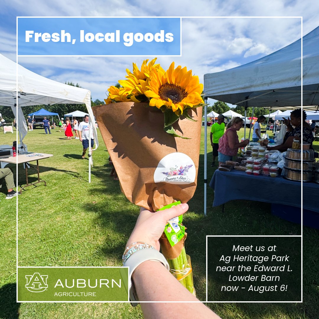 AuburnAg's tweet photo. Join us for the Market at Ag Heritage Park today and every Thursday this summer from 3-6PM to stock up on all your favorite local goods just in time for the holiday!

See you there!😊 https://t.co/WxrlpCIwFL