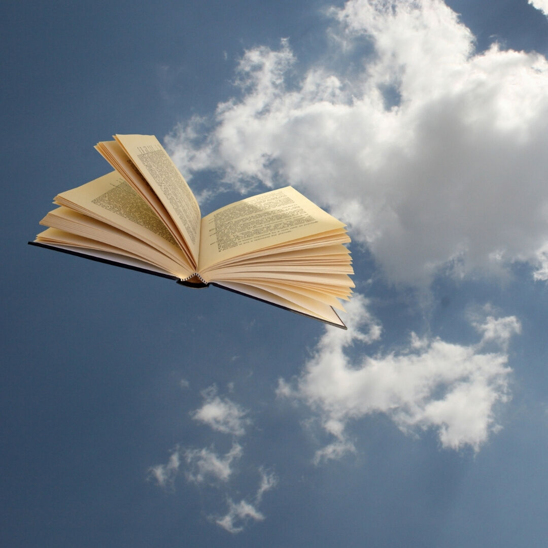 TheproBookedito's tweet photo. Toni Morrison said that if a book you want to read hasn’t been written yet, you must be the one to write it. Voice often starts there—in the story only you can tell, told the way only you would tell it. What’s yours? #IndieAuthor #AuthorLife #WIP https://t.co/7hQal93tH0