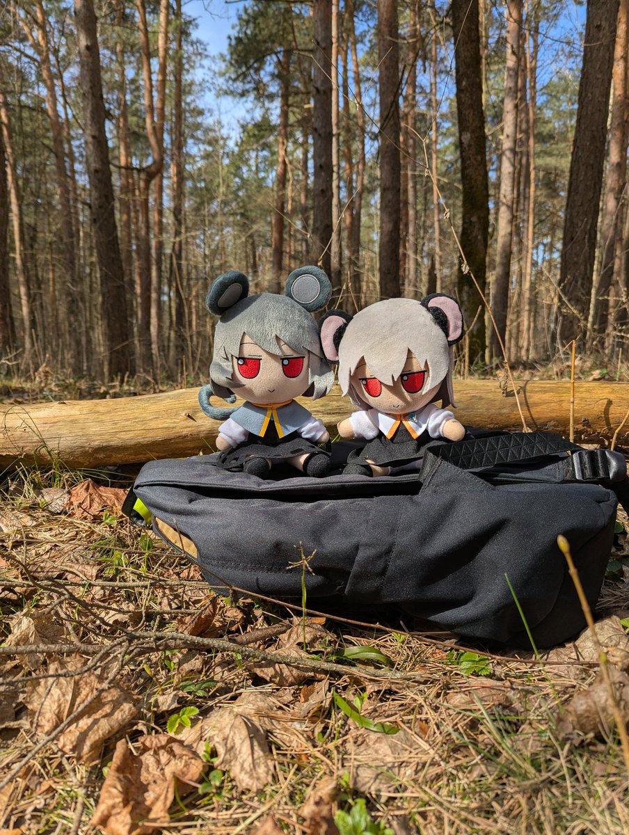 fstream_fumo tweet picture