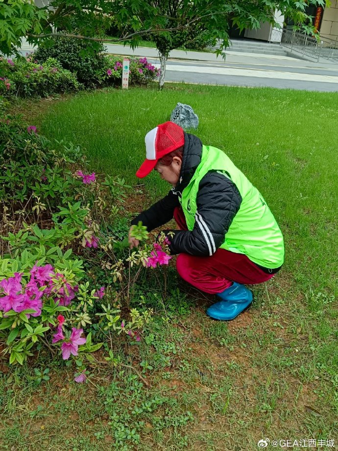 XJessieJigsawX's tweet photo. Join our community garden clean-up this Saturday 9AM at Maple Park! Bring gloves u0026 energy—fresh air + new neighbors await https://t.co/TNhNuBegmU