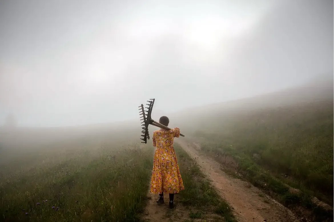 visualsofearth1's tweet photo. Nomadic Life in the mountains of Adjara, Georgia. https://t.co/kgaBBxwCGY