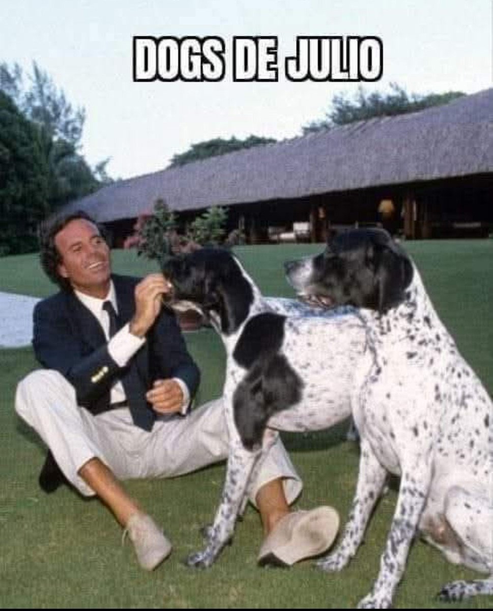 Memes De Julio tweet media