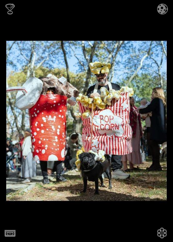 Yralissanchez's tweet photo. Autumn is already in the air. As they left the park, Clara looked back with a smile, knowing this was only the beginning—that there would be many more perfect days, picnics, and moments of love and joy with Elias. 🐗 https://t.co/f7Ft9q6ctz