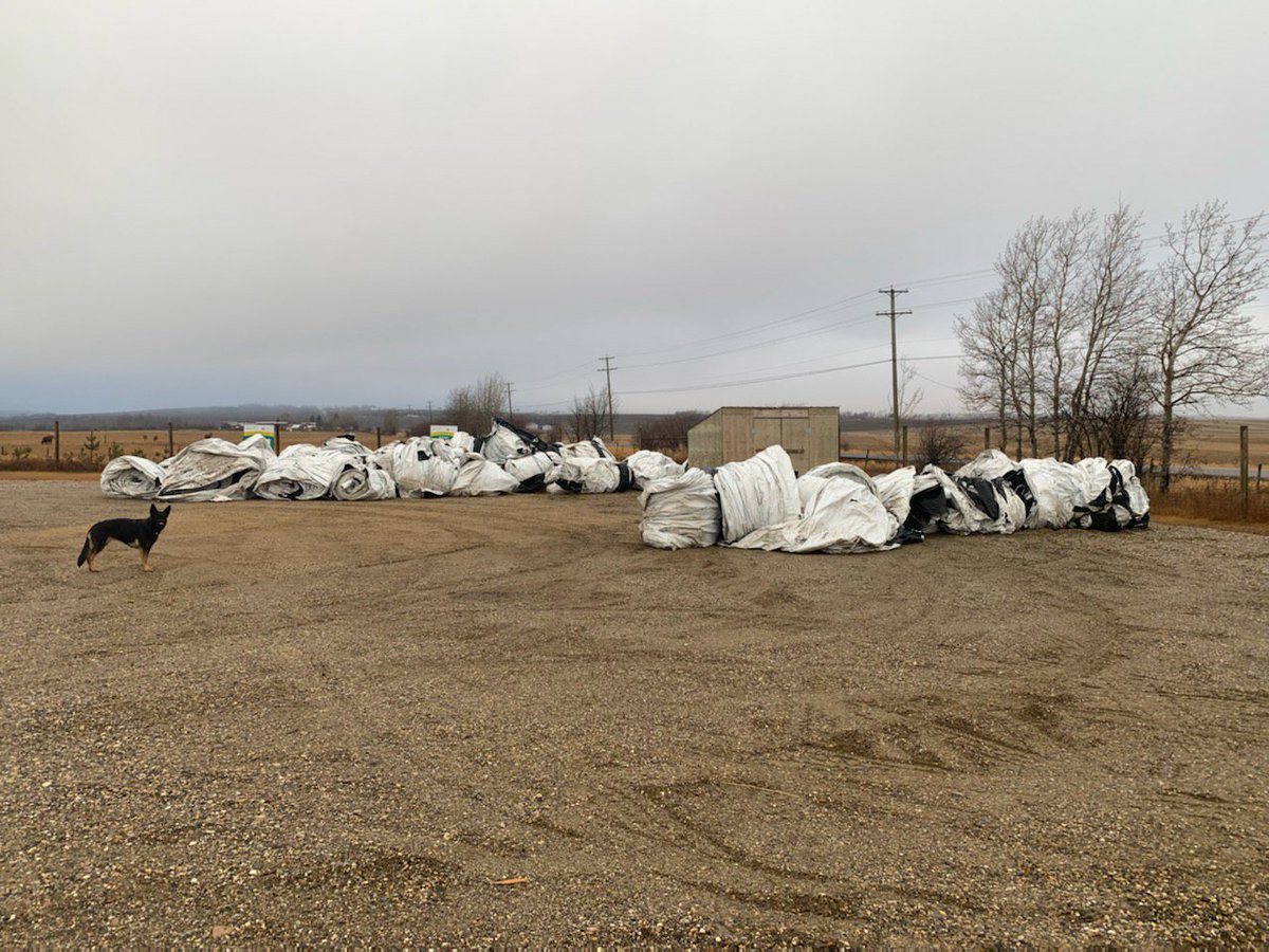 Cleanfarms's tweet photo. SK farmers! Bring in your mechanically rolled grain bags for recycling at your local site. Please check the opening hours of your closest site before drop off: https://t.co/sFFpdI9NQZ. Thank you for your dedication in keeping ag plastics out of landfill. 💚 https://t.co/11NdhNA5wZ