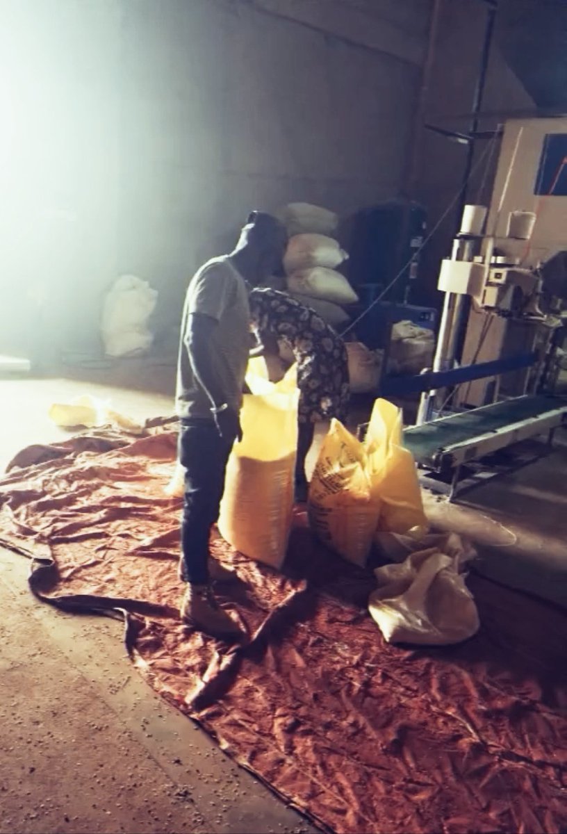 manzapro5's tweet photo. Rice seller in jinja to Uganda 
In box me 0707362841 https://t.co/weWbmpxBva