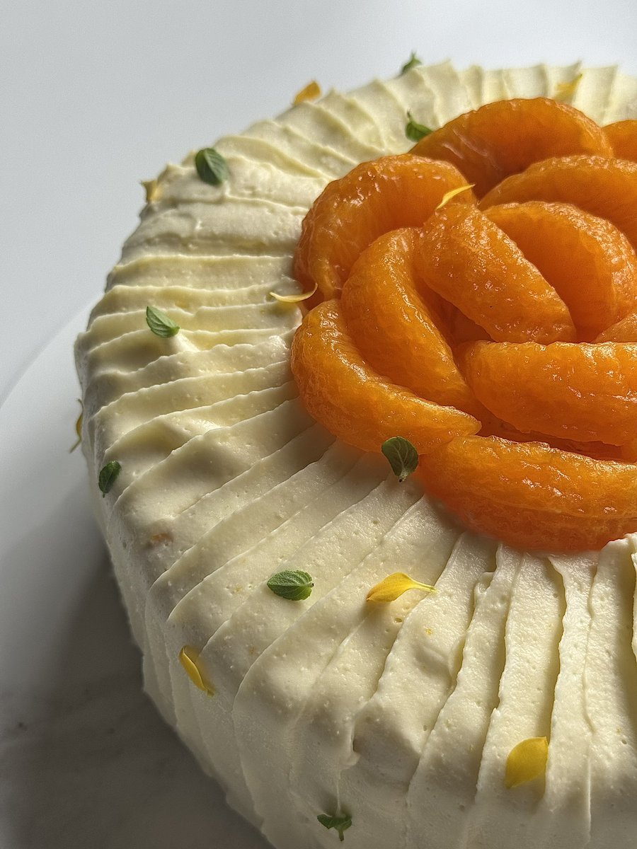 hiagovicktor's tweet photo. Fiz um bolinho performático de tangerina,  coco, damasco e e chocolate branco. Comeria uma fatia? 🥹🍊 https://t.co/mA0pEQop6i