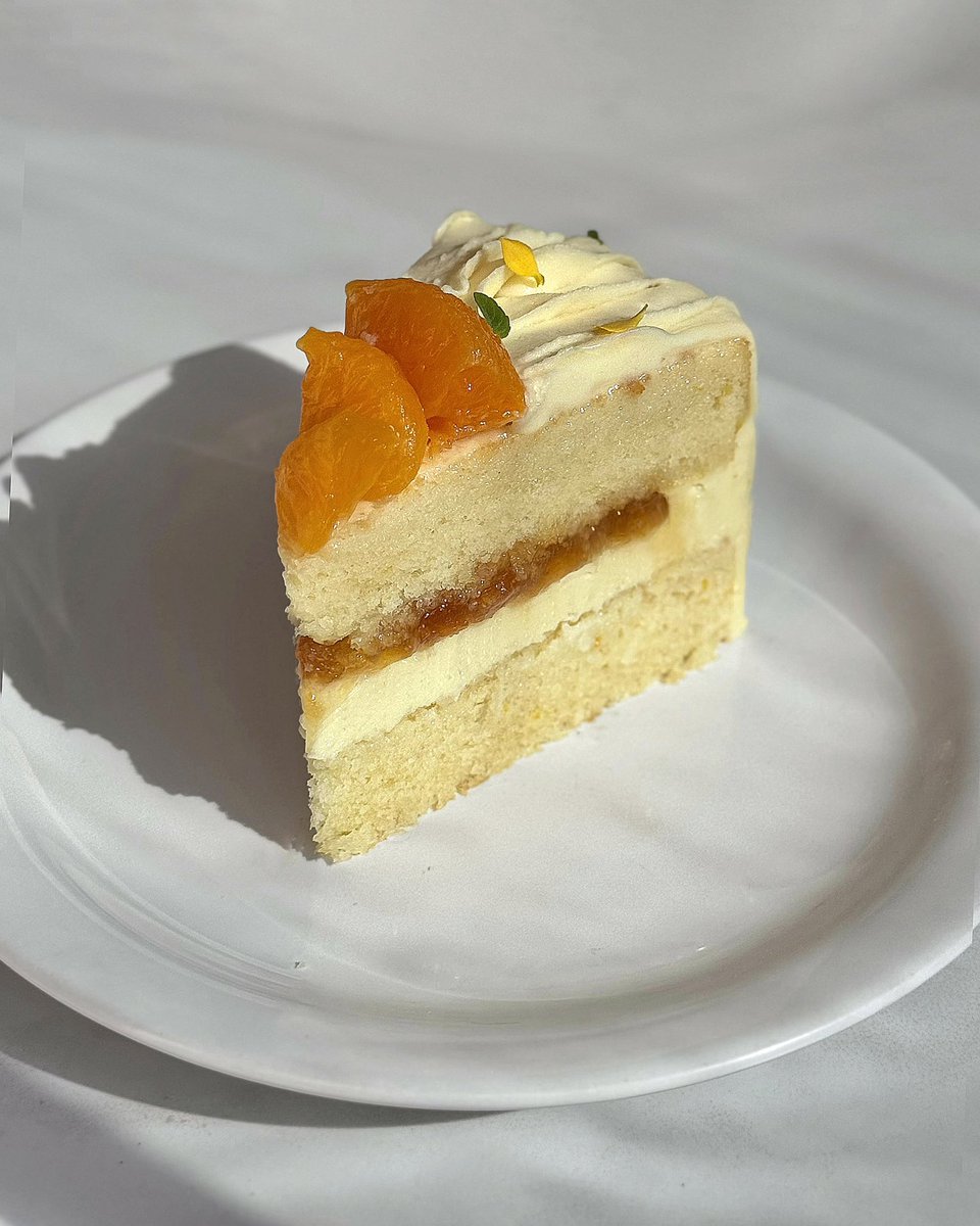 hiagovicktor's tweet photo. Fiz um bolinho performático de tangerina,  coco, damasco e e chocolate branco. Comeria uma fatia? 🥹🍊 https://t.co/mA0pEQop6i