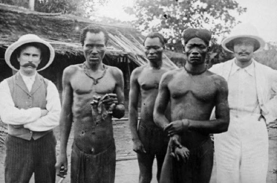 afshinrattansi's tweet photo. What Belgium’s King Leopold II, one of Europe’s worst genocidal monsters did to Congo:

During his rule, Leopold declared Congo as his personal colonial possession and proceeded to commit horrific genocide upon the Congolese people. 

8-10 million Congolese died during ‘personal rule’, with violence as a mechanism of organising production. Through mercenaries, prisons, forced starvation, and executions, Leopold II turned Congo into a concentration camp, using Congolese as the labour to extract vast profits from the rubber quotas imposed on the population.

The profits were used to build Belgium’s grand buildings and landmarks, while Congolese were exterminated systematically through forced labour, mass killings, and famine. 

While the metropole of Belgium’s empire flourished, while Congo became an extraction machine. Workers who failed to meet the quotas were mutilated, having their hands cut off. These workers included children. 

Villages were punished collectively. Women were held hostage until men delivered rubber. Failure meant mutilation, flogging, or execution. Terror was the incentive structure. Pain replaced wages. 

The Congolese people never saw the profits, only the oppression of being used as slave labour. Belgium has still not offered a formal apology to the Congolese people for the genocidal atrocities committed against them…

Because doing so would acknowledge a fundamental truth; that European capitalism was not born from ‘innovation’, ‘free trade’, or ‘liberal values’, but through barbaric destruction of global south nations and the looting of their resources for profit.

Lumumba was assassinated for daring to seek real independence and freedom from the sadistic neocolonial domination that Belgium and the United States had planned for Congo, after the blood of millions of Congolese had been spilled for the benefit of Belgium.