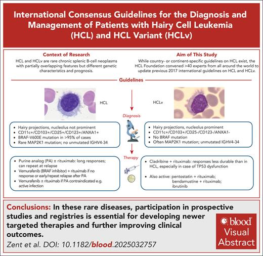 smbenlazar's tweet photo. Updated consensus guidelines for the diagnosis and management of patients with HCL and HCL variant https://t.co/LS0V44lDzN https://t.co/Vve8FQZDeu