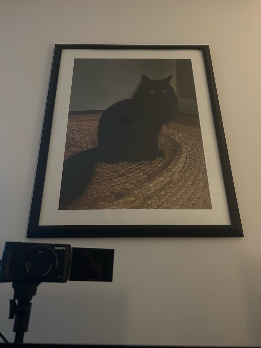 00smelly's tweet photo. Always watching over me. https://t.co/OVq6n8EW8J
