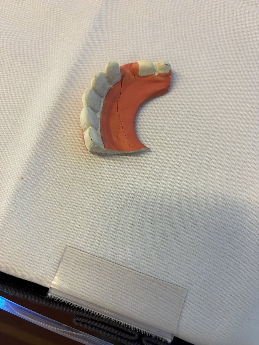 BigBlueFox's tweet photo. Lost your smile? It’s at Conops lost and found! #Ac2026 Ich https://t.co/kTE8okyYGl